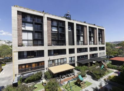 El Doce由Homi Rent