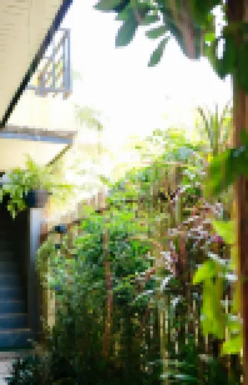 Lom La Lanta Hotels near Fins Swimmers
