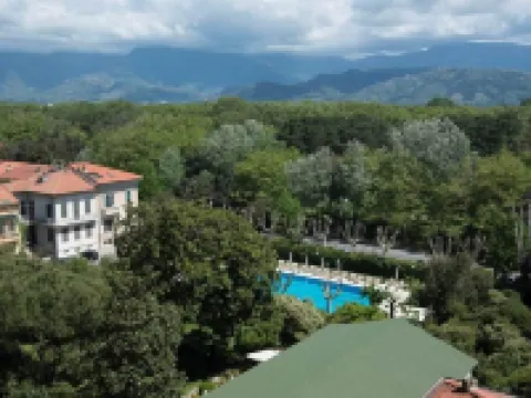 皇家大酒店 維亞雷焦酒店