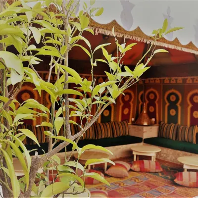 Riad l'Escale de Marrakech Hotels near Marrakech Mining Institute
