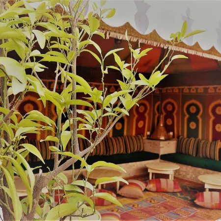 Riad l'Escale de Marrakech