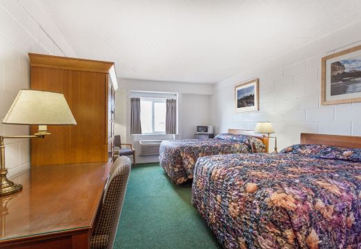 2. 나이츠 인 무스..