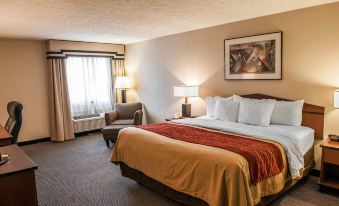 Comfort Inn Indianapolis South I-65