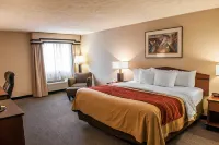 Comfort Inn Indianapolis South I-65 Hotels in Beech Grove