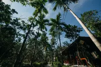 Thuy Bieu Homestay