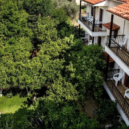 Oasis Apartments