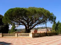 The Grand Inn Mysore