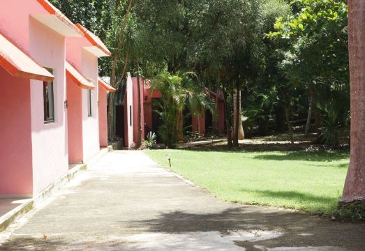 자연 친화적 정원