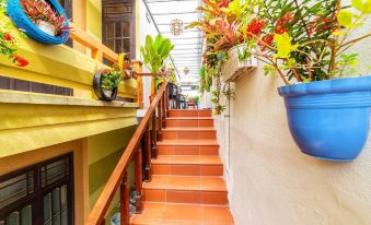 An Bang Beach White Sand Sea Homestay