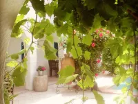 Hotel Arisha Hotels in Houmt Souk