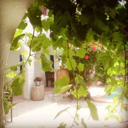 Hotel Arisha
