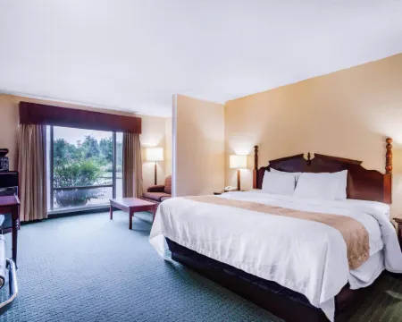 寶貴酒店 迦太基酒店