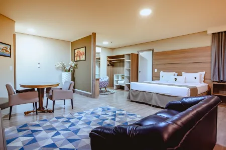 Riellis Center Hotel Отели в г. Ботукату