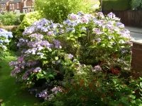 Anton Guest House Bed and Breakfast - parking