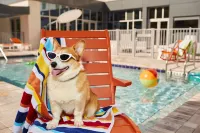 Aloft Austin Round Rock - Swimmingpools