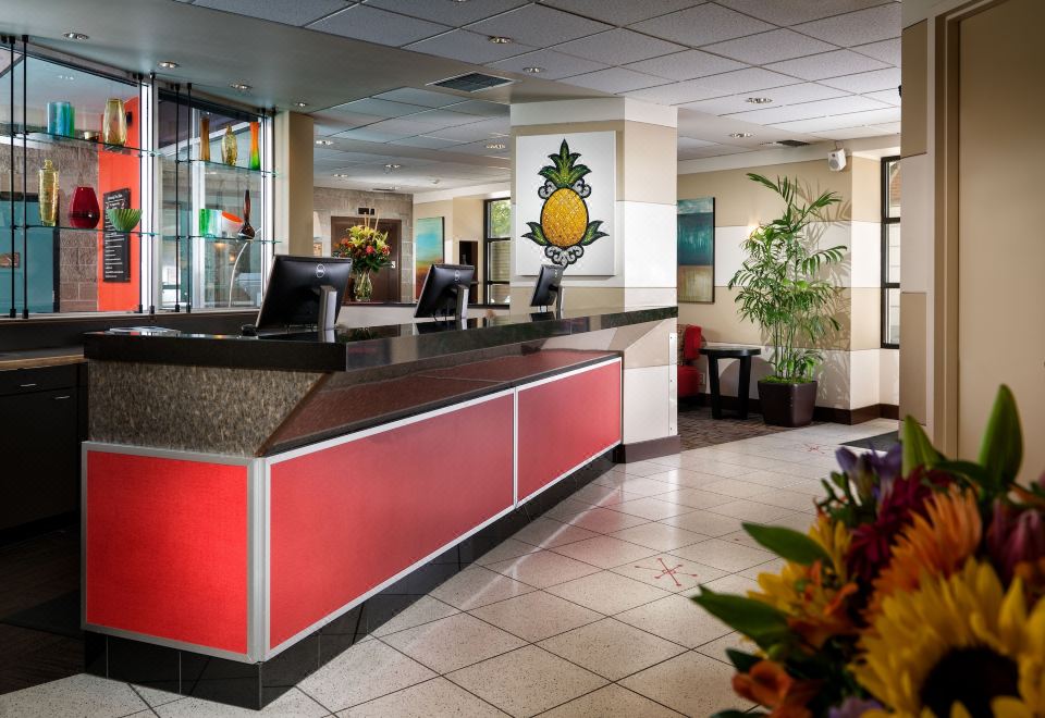 1. 스테이파인애플 ..