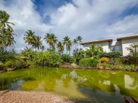 Areia Azul Aparts Brazil - Imbassai Ykutiba Hotels in Imbassai