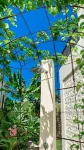 Amazing Lombok Resort Hotels in West Praya