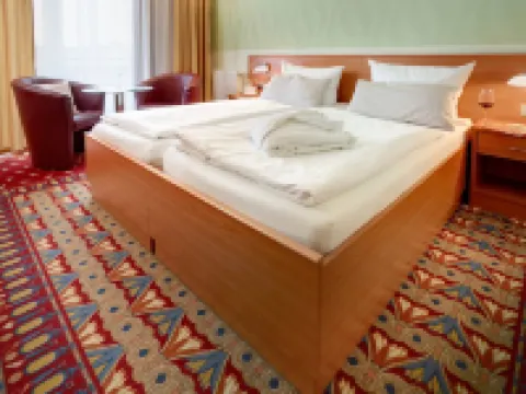 金字塔療養酒店 中弗蘭肯行政區酒店