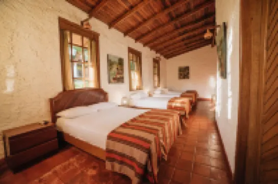 Puerto Palmeras 迪拉伯土度假村 住宿飯店