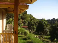 테레시나자메이카