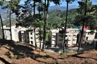 Woodsvilla Residency Ranikhet Hotels in Turkaura