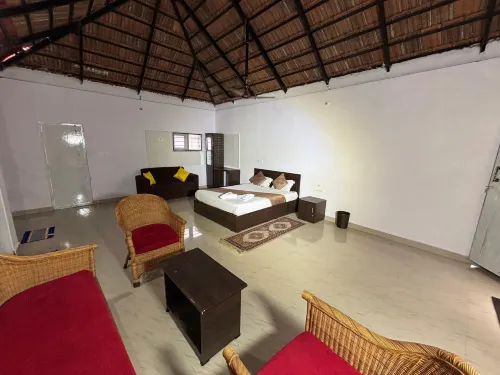 olive jungle resort