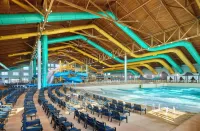 Great Wolf Lodge Webster