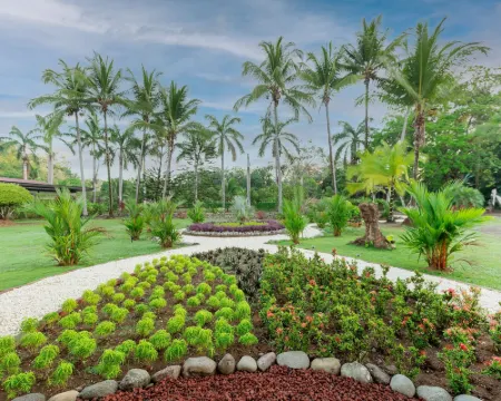 Hotel Costa Pacífica Hoteles en Esterillos Oeste