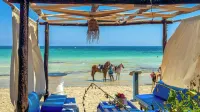 Hotel de Charme et Spa Dar El Bhar - Beach
