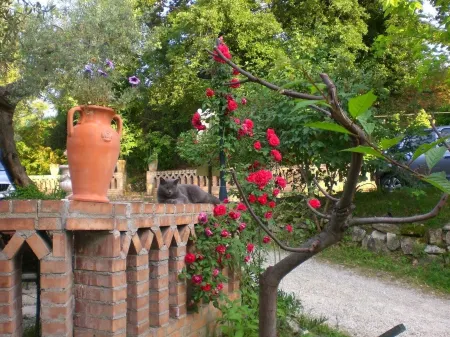 Agriturismo il Quadrifoglio Отели в г. Кьети