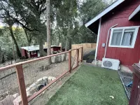 Foxy Roxy - Studio with loft Hotels near Nurtured By Nature