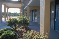 Grand Vista Hotel Hotels in Oneida