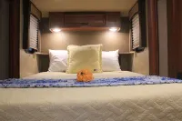 Gruene River Glamping - High & Dry Отели рядом с достопримечательностью «Gypsy River Resort»