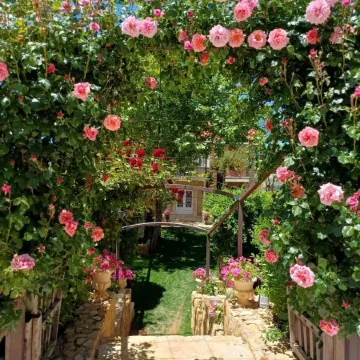 Laklouk 1808 lodge by Hansa