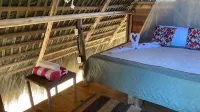 Punta Cana Ecolodge Hotels in 