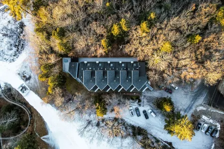 Lift Haus - True Ski-in Ski-Out - Clean • Modern • Easy