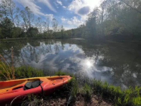 Cozy cabin in our little woodland village - access to pond and meadow