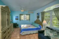 Fall in Love at Villa Amour , Caribbean Dream, Art Lovers Paradise. ,  Private