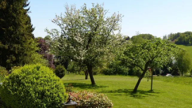 Apartment on the edge of the forest