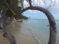 Seasonal rental Comfortable furnished studio