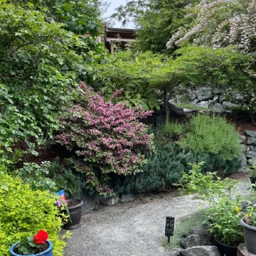 Private suite located on the garden side of our home