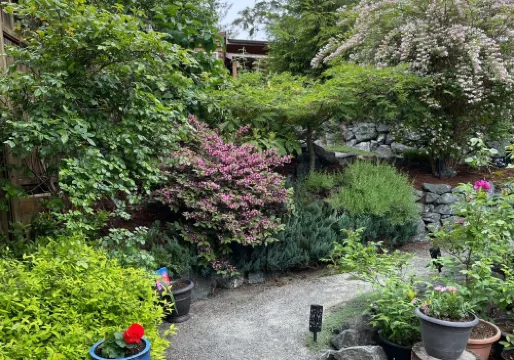 Private suite located on the garden side of our home