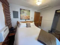 Cozy Cabin in Lake City, just steps from the beach!