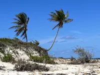 The Penthouse overlooking Cocoa  bay,steps to the beach , with starlink internet Hotels near Gillam Bay Road