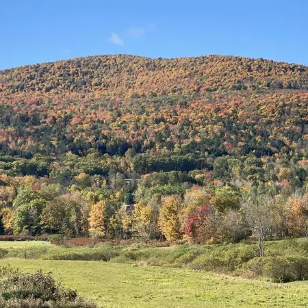 On the Mountain in Windham, New York in the Catskills