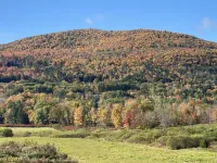 On the Mountain in Windham,  New York in the Catskills