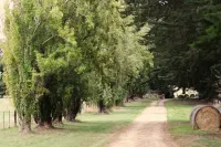 Modern character cottage 10 minutes to Mount Gambier on picturesque small farm