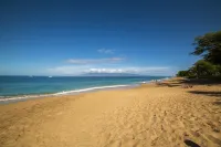 * Steps to the beach * Tropical garden studio