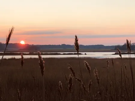 A traditionally furnished cottage with fantastic views across the Alde Estuary